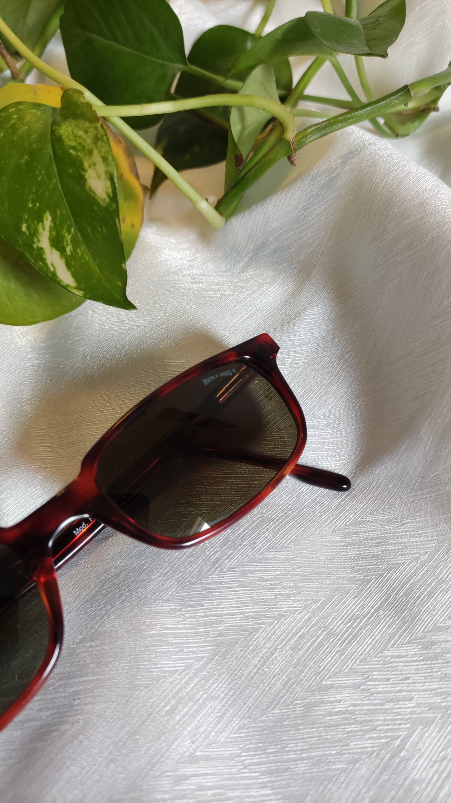 Occhiali da sole vintage Rolling marroni